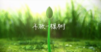 看鹿晗 迪麗熱巴 王俊凱這樣做環(huán)保