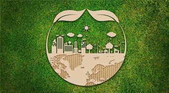 環保家裝不是噱頭,別等 中毒 了才后悔